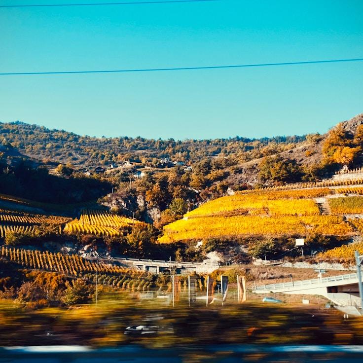 Family terraces and cafés for calm evenings in Florence